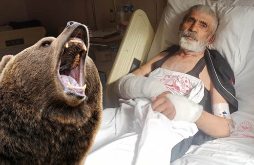Artvin'de ayıyla dakikalarca boğuşan yaşlı adam dehşet anlarını anlattı