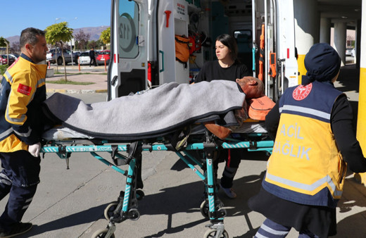 Erzincan'da ayının saldırdığı kişi yaralandı!