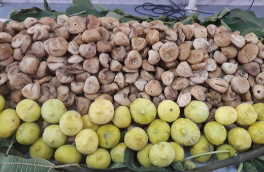 Kuru incir ihracatında tarihi rekor! Gelir 260 milyon dolar oldu!