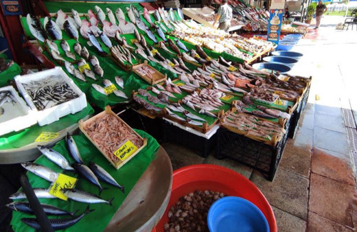 Balık tezgahlarında bolluk var: Lüfer fiyatı yarı yarıya düştü