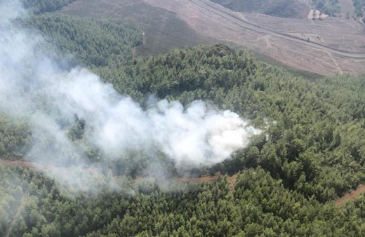 Muğla Köyceğiz’deki orman yangını söndürüldü
