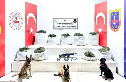 Diyarbakır'da 364 kilo 500 gram esrar, 150 bin kök skunk ele geçirildi!