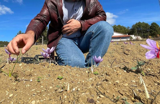 Doktorluğu bıraktı 3 dönüm arazi aldı ekmeye başladı kilogramı 250 bin lira