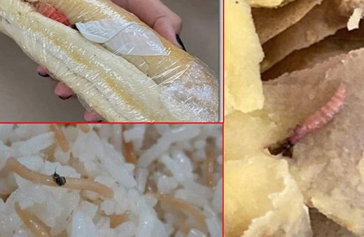 KYK yurdunda öğrencilere verilen yemeğin içinden çıkanlar mide bulandırdı