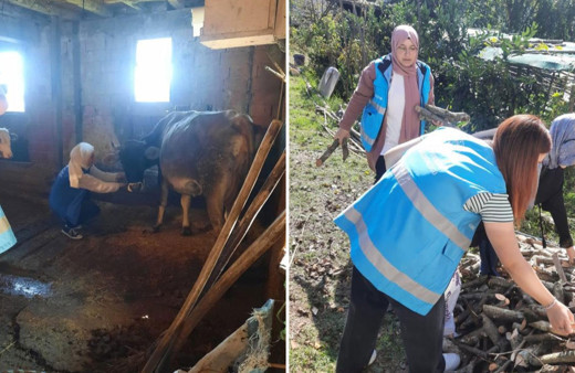 Üniversite öğrencileri inek sağıp odun kırdı!