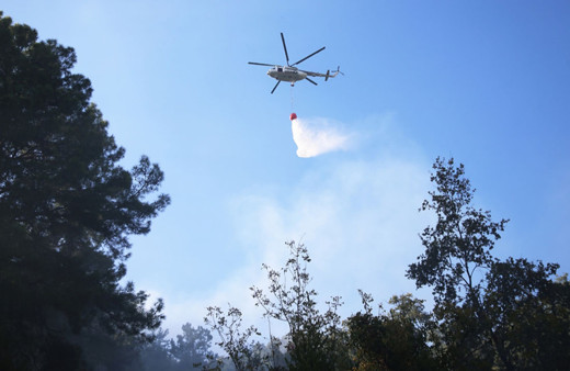 Alanya'da çıkan orman yangını kontrol altına alındı!