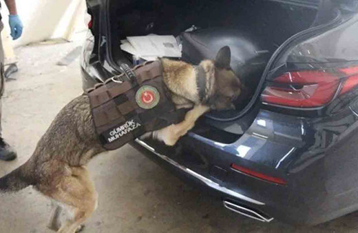 Büyükelçilik aracında kokain yakalandı