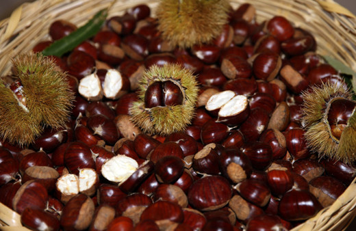 Aydın'da sezonun ilk kestanesi 350 liradan satıldı