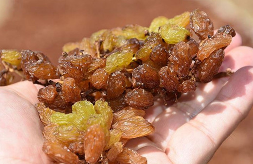 Kuru üzümde Türkiye dünya lideri!