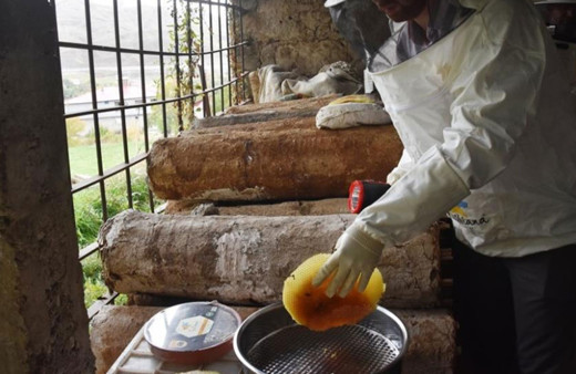 Bitlis'in dünyaca ünlü kara kovan balında hasat başladı!
