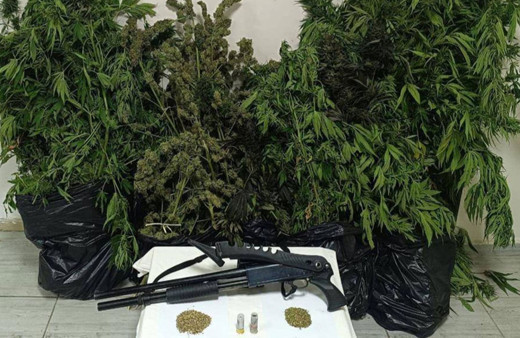 Bingöl'de 50 kilo 998 gram esrar ele geçirildi!