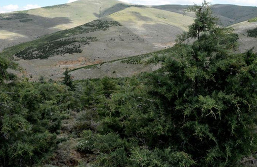 Kırklareli'nde ormanlık alanlara girişler yasaklandı