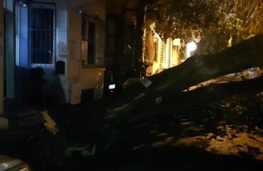 Üsküdar'da evin bahçe duvarına ağaç devrildi