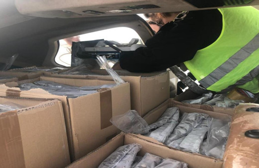 Yaban hayvanları için kuduza karşı havadan aşılı yem bırakıldı