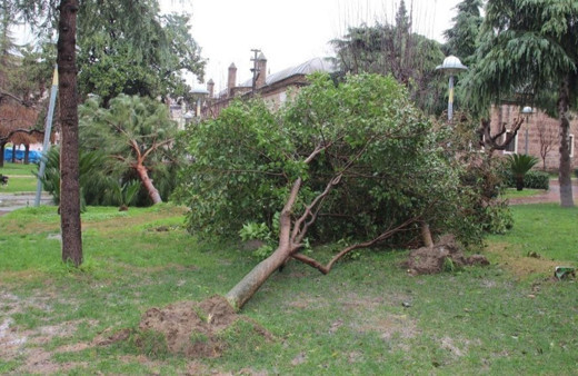 Manisa için kuvvetli fırtına uyarısı!