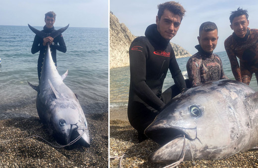 Mersin'de zıpkınla 150 kilogramlık orkinos avlandı!