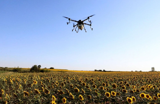 Tarımdaki biyolojik mücadeleye 184 milyon lira destek sağlandı