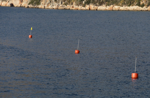 Antalya'da deniz çayırları şamandıralar yardımıyla korunacak