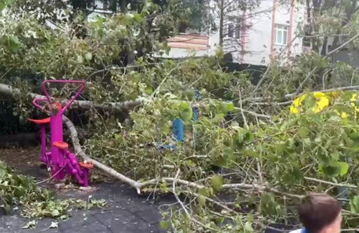 İstanbul'da parkta oynayan çocukların üzerine ağaç devrildi!