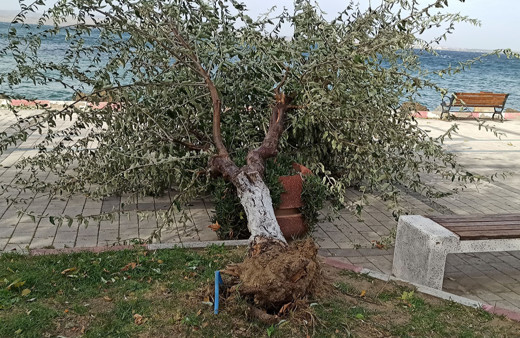 Çanakkale Boğazı çift yönlü transit geçişlere kapatıldı!