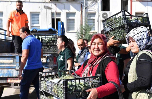 Mersin Silifkeli üreticilere lavanta fidesi dağıtıldı