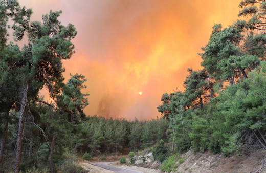 Muğla ve Çanakkale'de orman yangını çıktı! Rüzgarla birlikte alevler yayıldı