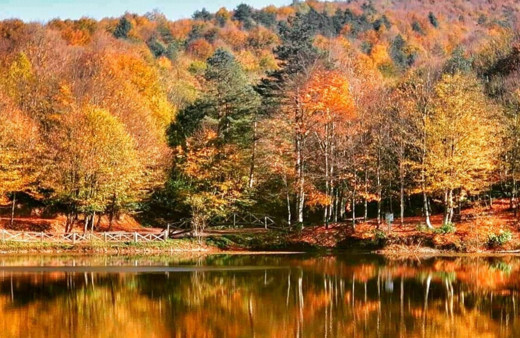 Çamlıpınar Göleti'nde muhteşem manzara ortaya çıktı