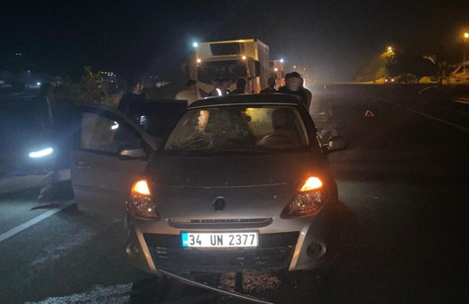 Adıyaman'da otomobil eşeğe çarptı, olayda 3 yaralı var