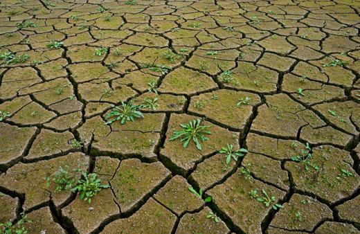 İstanbul'daki 10 barajdan 3'ü "alarm" veriyor!