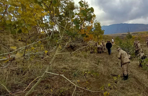 Kan donduran cinayet! Öldürdüler, parçalara ayırdılar, arazide yaktılar...