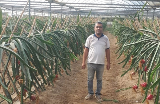 Küresel ısınmayı fırsata dönüştürdüler!