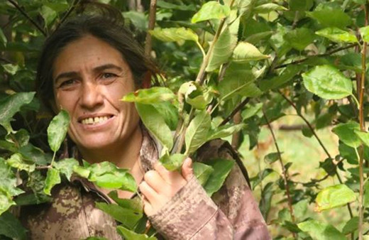 MİT, PKK'nın sözde yöneticisi 'Tekoşin Cizre' kod adlı Ayşe Arslan'ı etkisiz hale getirdi