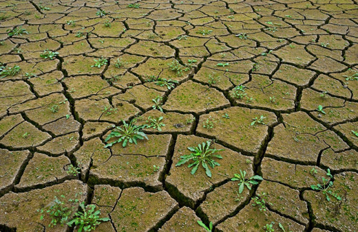 Barajlar alarm veriyor durum çok fena! Bazılarında su kalmadı