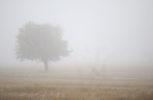 Kırklareli'nde yoğun sis etkili oldu! Göz gözü görmedi