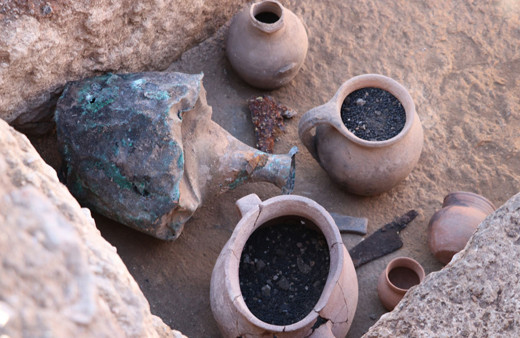 Antik kentte 1600 yıllık tohumlar gün yüzüne çıkarıldı!