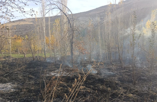 Sivas'ta 40 dönüm bahçe küle döndü, asırlık ceviz ağaçları yandı