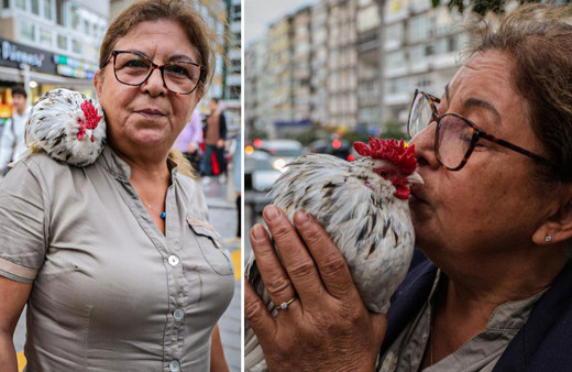 Her yere omuzundaki horozuyla gidiyor!