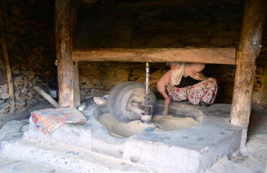Hizan’da üretilen çeltik, asırlık su değirmeninde öğütülüyor