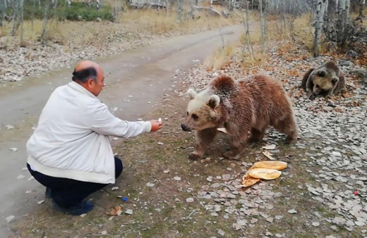 Bozayıyı bu sefer ağzıyla besledi