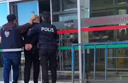 Sokak kedisini çantasına koyup götürmüştü! Karar verildi