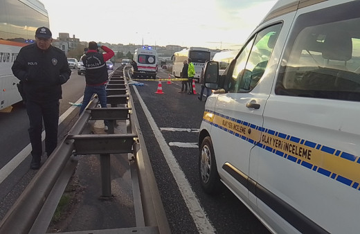 Otomobilin çarptığı kadın köpeğiyle birlikte yan yana hayatını kaybetti