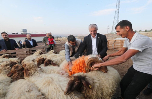 Şahinbey’de hayvancılığa büyük destek verildi