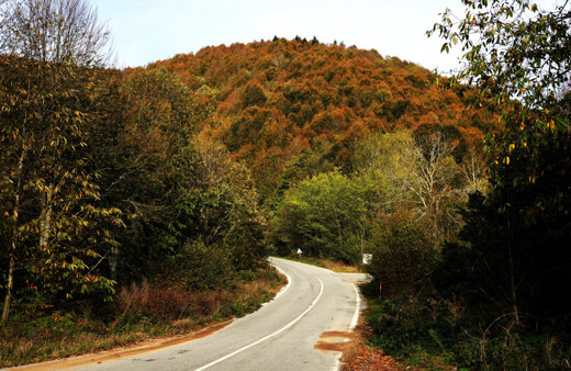 Sakarya Çam Dağı'nda eşsiz sonbahar manzarası görenleri hayran bıraktı