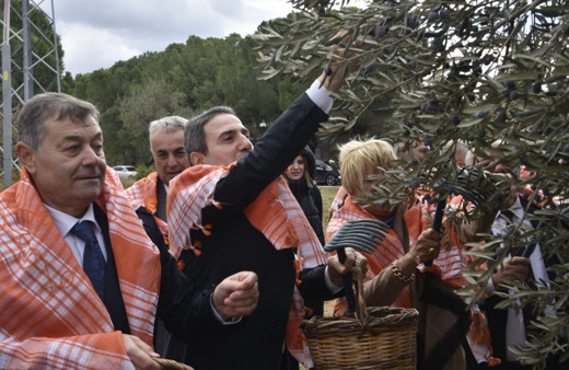 İzmir'in Bergama ilçesinde zeytin ve zeytinyağı sezonu açıldı