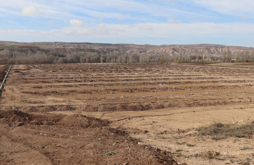 Sivas'ta yeni jeotermal sera kurulacak!