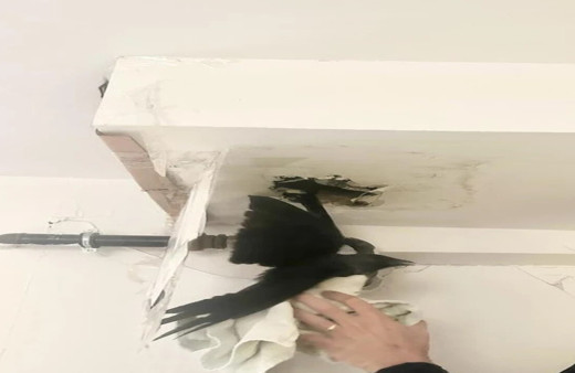 Elazığ’da havalandırma boşluğuna düşen kargayı itfaiye ekipleri kurtardı