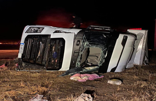 Kırıkkale'de tır şarampole devrildi, 2 büyükbaş hayvan telef oldu