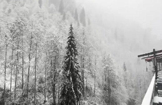 Rize’nin yüksek kesimlerine kar yağdı, Ayder Yaylası beyaza büründü