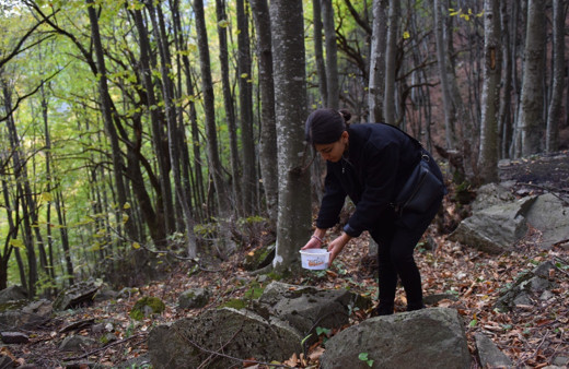 Bursa'da gençler çevre farkındalığı oluşturmak için doğa yürüyüşü etkinliği düzenledi