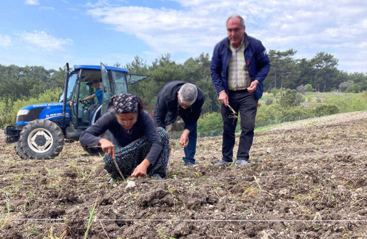 ÇKS'ye kayıtlı emekli çiftçilere iyi haber! Cumhurbaşkanı Erdoğan talimat verdi 5 bin TL ikramiye alacaklar!